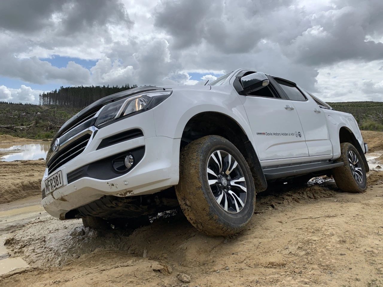 Mud and pine country